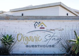 Organic Stay Guesthouse