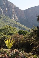 Amafu Forest Lodge