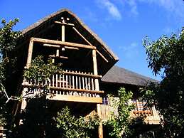 Amafu Forest Lodge