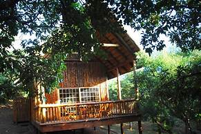 Amafu Forest Lodge