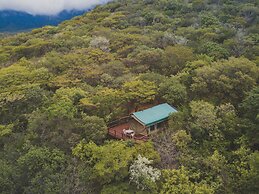 Amafu Forest Lodge