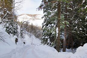 Cottage on the Stream