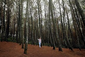 Four Points By Sheraton Bandung