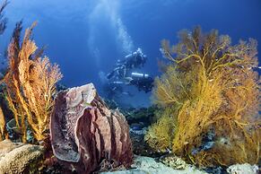 Forra Diving Resort - Pattaya Beach - Koh Lipe