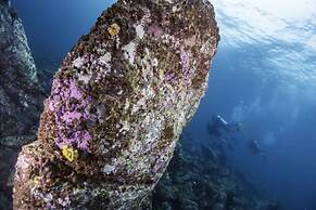 Forra Diving Resort - Pattaya Beach - Koh Lipe