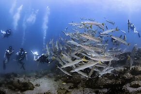 Forra Diving Resort - Pattaya Beach - Koh Lipe