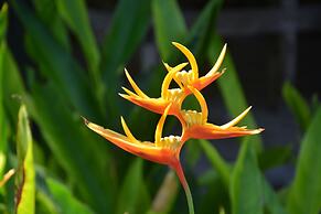 Forra Diving Resort - Sunrise Beach - Koh Lipe