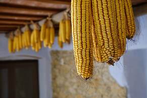 Can Barnosell - Els Masos d'en Coll