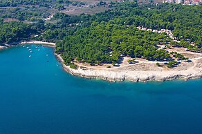 Arena Stupice Camping Homes