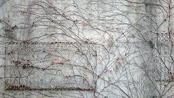 The Vintage Maison Tainan