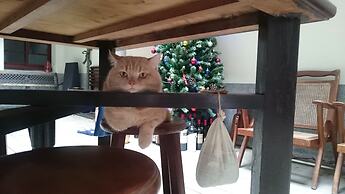 The Vintage Maison Tainan