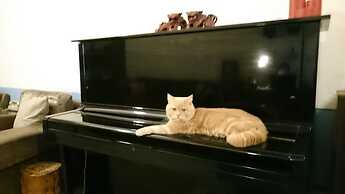 The Vintage Maison Tainan