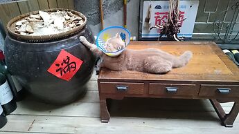 The Vintage Maison Tainan