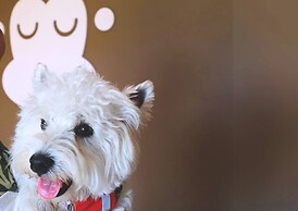 Blu Monkey Brown House Udonthani