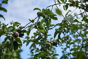 MOVE Eco Health Hotel