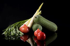 Wellspring by Silks Jiao Xi