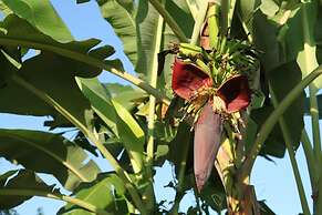 Puri Mangga Sea View Resort & Spa