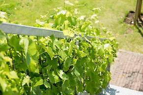 Villa Suisse Bed & Breakfast