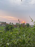 Dikaloha Medewi Surfcamp