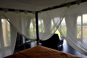 Dikaloha Medewi Surfcamp