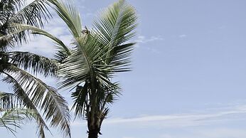 Dikaloha Medewi Surfcamp