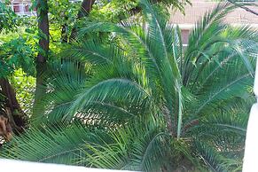 Lolos Cosy One Bedroom Apartment