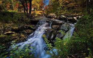 Rockwell Falls Inn and Wine Bar