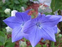 Rockwell Falls Inn and Wine Bar