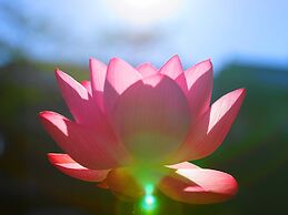 Koyasan Syukubo Ekoin