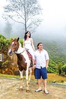 Brockenhurst Bungalow