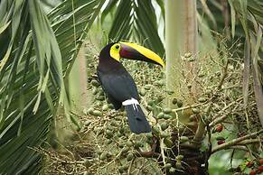Hotel Vista al Tortuguero