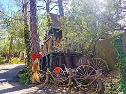 Bear Creek Motel And Cabins