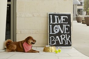 Archer Hotel Austin at the Domain