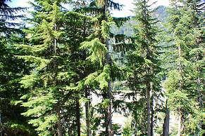 Crystal Chalets Condominiums at Crystal Mountain Ski Resort