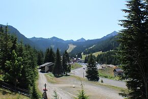 Crystal Chalets Condominiums at Crystal Mountain Ski Resort