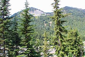 Crystal Chalets Condominiums at Crystal Mountain Ski Resort