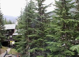 Crystal Chalets Condominiums at Crystal Mountain Ski Resort