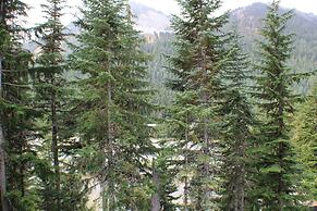 Crystal Chalets Condominiums at Crystal Mountain Ski Resort