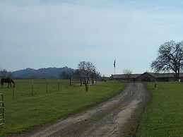 The Branded Calf B&B