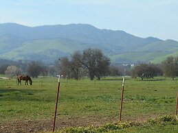 The Branded Calf B&B