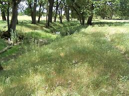 The Branded Calf B&B