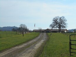 The Branded Calf B&B