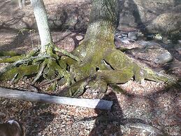 The Branded Calf B&B