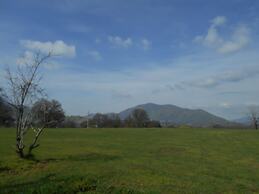 The Branded Calf B&B