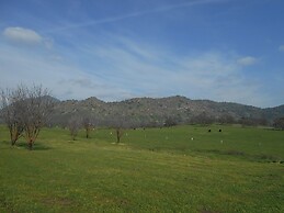 The Branded Calf B&B