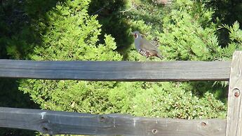 The Branded Calf B&B