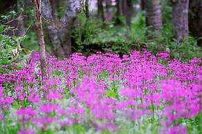 Lamp No Yado Moritsubetsu