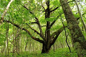 Lamp No Yado Moritsubetsu