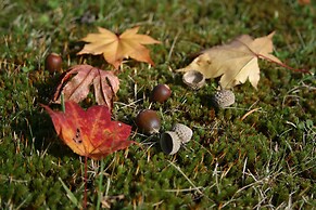 Lamp No Yado Moritsubetsu