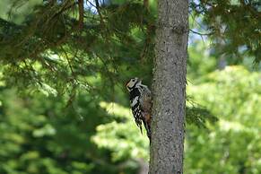 Lamp No Yado Moritsubetsu